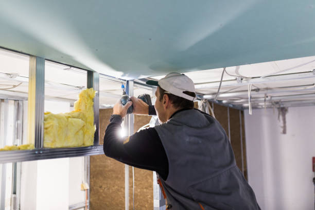 Types of Insulation We Offer in Samoset, FL