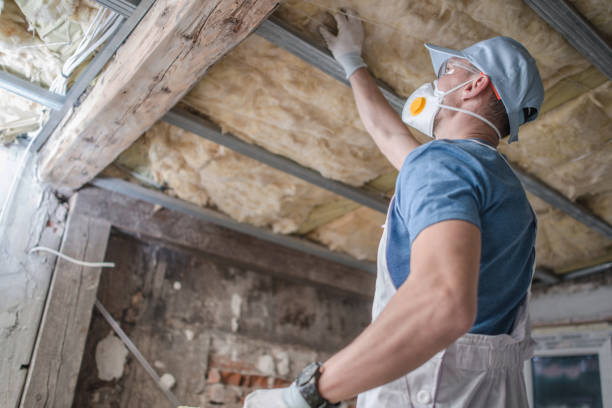 Types of Insulation We Offer in Samoset, FL