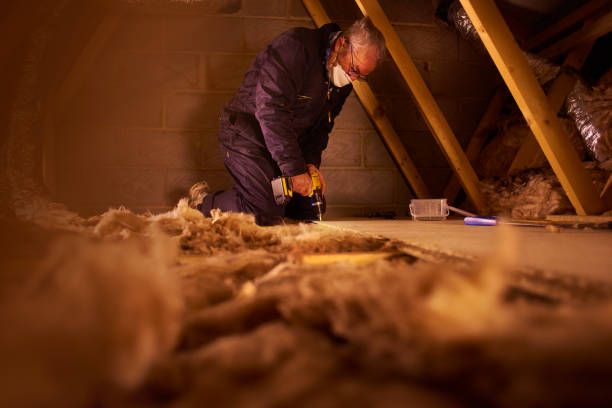 Best Cellulose Insulation in Samoset, FL